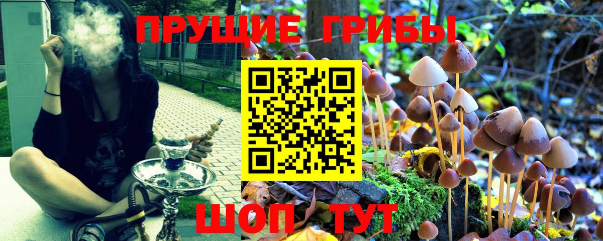 Галлюциногенные грибы мухоморы  Вход с VPN  Троицк 
